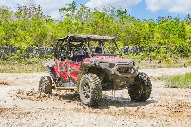 Private Jeep and 4x4 Polaris RZR Tour with Mexican Lunch - The mix that makes it worth your time