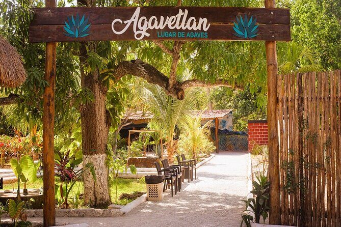 Private Jeep and 4x4 Polaris RZR Tour with Mexican Lunch - Stop 1: Cozumel in an automatic Jeep (self-drive, scenic pacing)