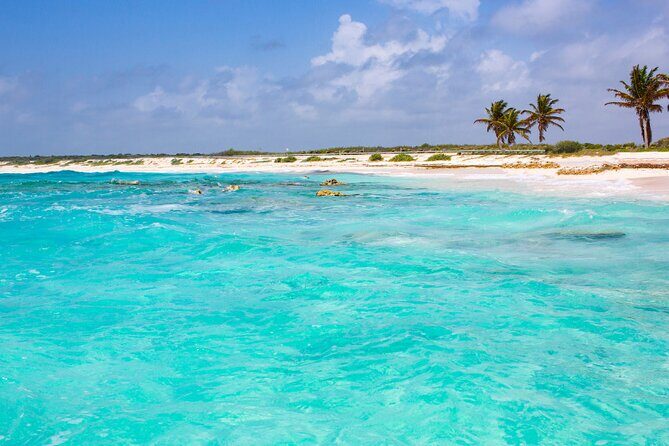 Private Jeep and 4x4 Polaris RZR Tour with Mexican Lunch - Coco’s Beach Club lunch: tacos or fajitas by the water