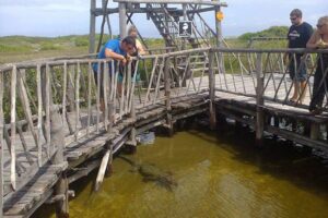 Private Jeep Excursion in Cozumel with Lunch and Snorkeling - Stop-by-stop route: Punta Sur, El Mirador, Chankanaab Reef, San Gervasio, and El Cedral
