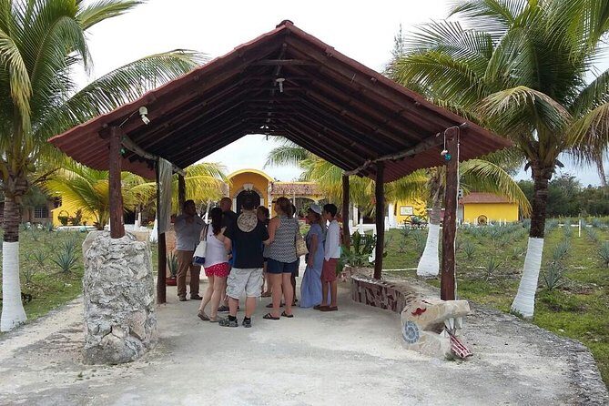 Private Jeep Excursion in Cozumel with Lunch and Snorkeling - Driving the manual Jeep: fun when you’re ready, tricky when you’re not