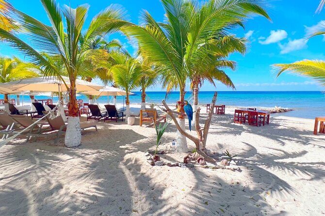 Private Jeep or Buggy Tour Snorkeling Maya Park and Tacos - Private vehicle and guides: why the human element matters