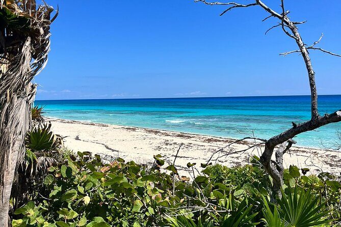 Private Mayan Ruins Tour with Cenote/caves and Mexican Picnic - Beach lunch and Mexican picnic energy (with drinks included)