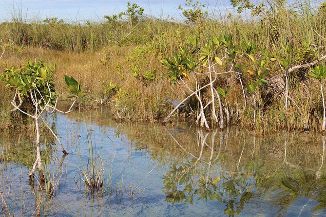 Private Sian Kaan Muyil Lazy River Tour - Muyil archaeological zone: history where the jungle keeps the pace