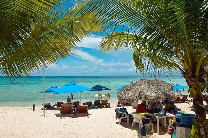 Private Tour: 5-Hour Cozumel Sightseeing with Private Driver and Tequila Tasting - Stop 4: San Gervasio ruins for Ixchel and the best-preserved Mayan site (1 hour + optional guide)