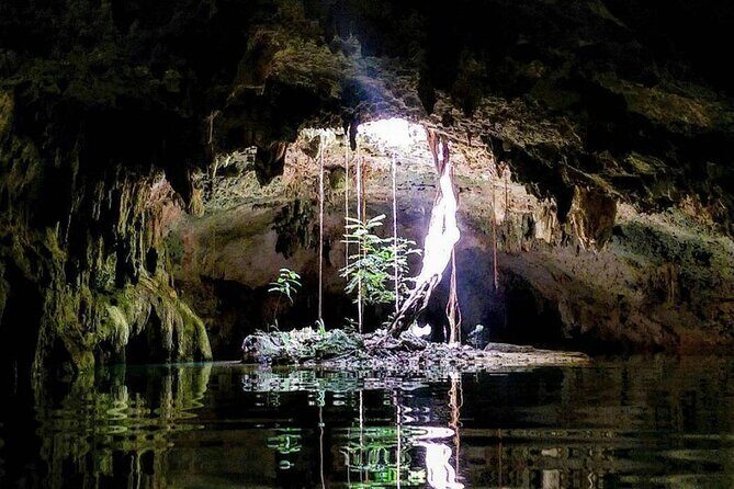 Private Tour Cenotes Sac Actun The Longest Underground River - Stop 2: Cenote Xunaan-Ha and the outside-water reset