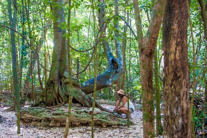 Private tour of Tulum Archaeological Site & Sian Ka'an Muyil - Stop 1: Tulum Archaeological Site With a Guide (and Admission Included)