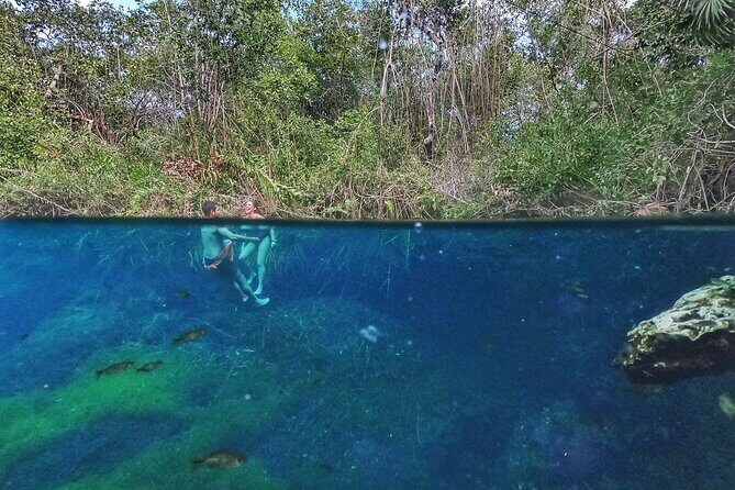 Private Tour The Best Cenotes in Tulum Riviera Maya - Food and refueling: Mexican snacks, brunch-style meal, and bottled water
