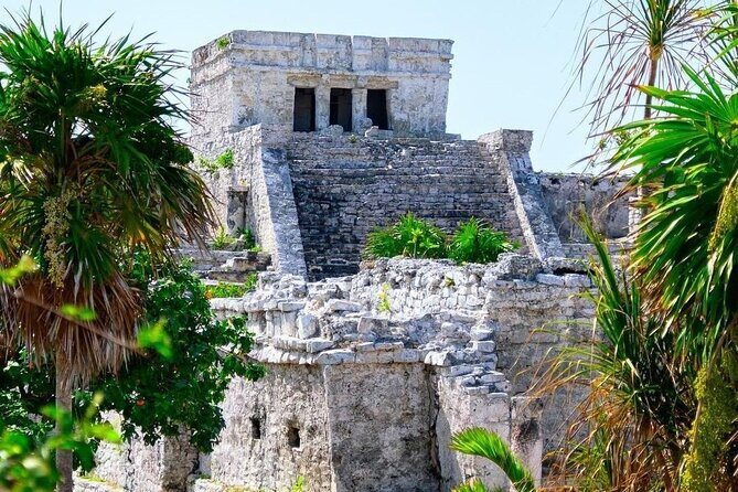 Private Tour to Tulum, Cenote and Swimming with Turtles - Morning Pickup From Your Lobby in Playa del Carmen