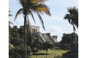 Private Tour to Tulum, Cenote and Swimming with Turtles - Entering Tulum Ruins at Opening Time (and Why It Helps)