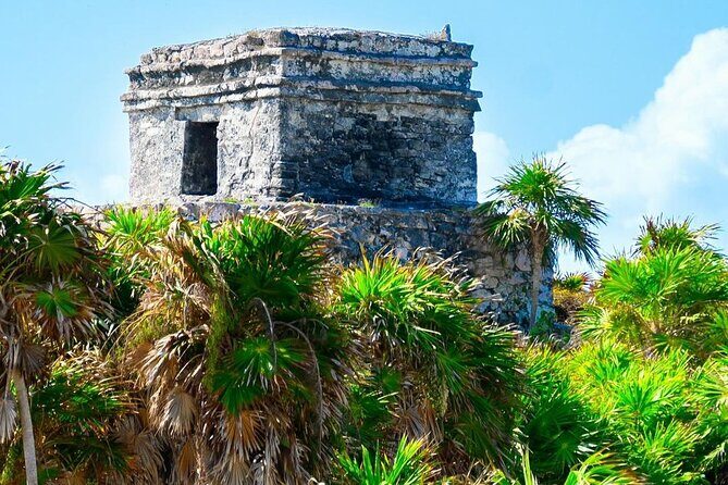 Private Tour to Tulum, Cenote and Swimming with Turtles - Taak Bi Ha Cenote: Jungle Water and Rock Formations