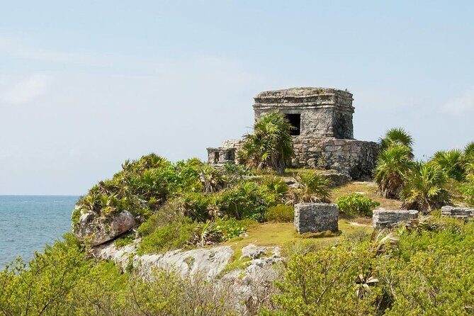 Private Tour to Tulum, Cenote and Swimming with Turtles - Private Transportation and a Guide Who Sets the Pace