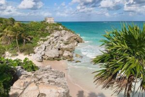 Private Tour Tulum Tortugas Cenote Beach All Inclusive - Akumal turtle time: sharing the water without rushing it