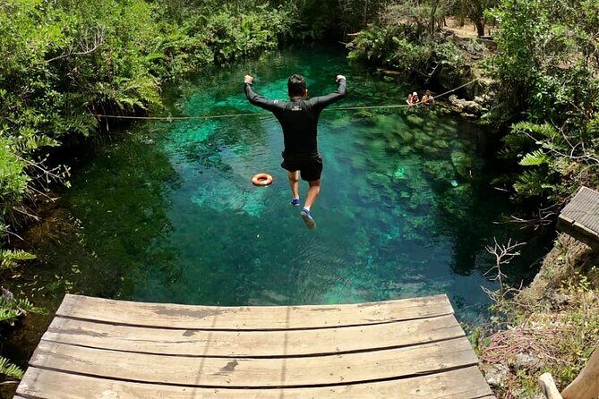 Private Tour Tulum Tortugas Cenote Beach All Inclusive - Price and value: is $250.89 per person a fair deal?