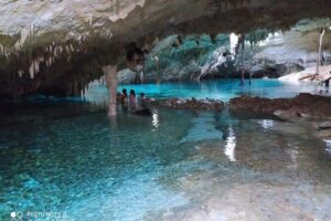 Private Tulum & Cenotes tour - Casa Cenote snorkeling: clear water, mangroves, and a guide watching your back