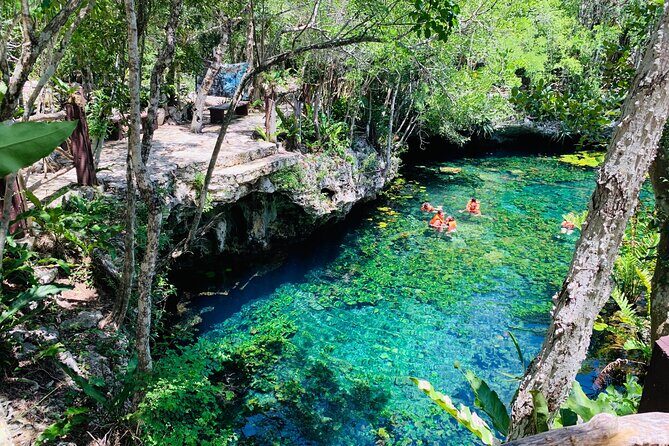 Private Tulum Day-Trip Mayan Ruins with Cenote Swim - Real-World Notes: The Kind of Service That Makes It Feel Easy