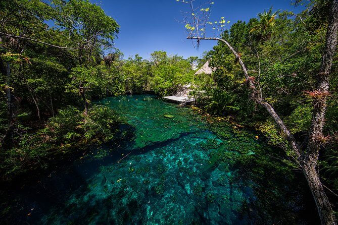 Private - Tulum Ruins and 3 Cenotes Jungle Adventure - Price, pickup limits, and what you get for $319
