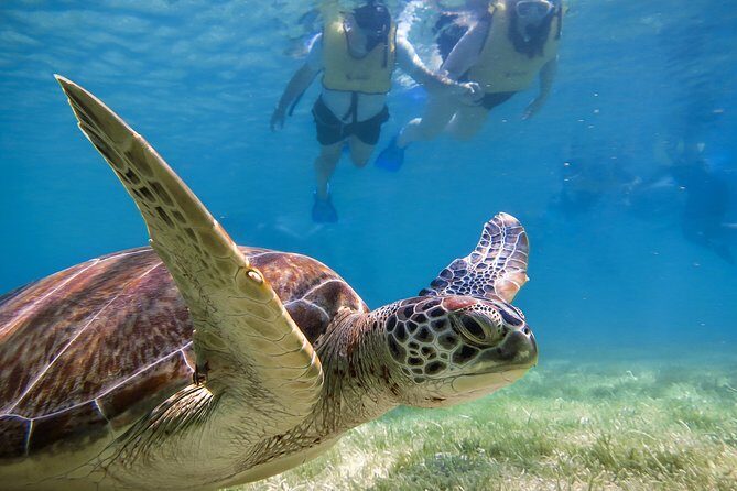 Private Tulum Ruins, Turtles in Akumal and Cenote Adventure - A Private Day of Tulum, Turtle Snorkel, and Cenote Swim