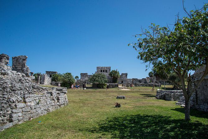 Private Tulum Ruins, Turtles in Akumal and Cenote Adventure - Who This Tour Fits Best