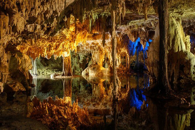 Private Turtles & Cenotes Adventure - Should you book Private Turtles & Cenotes Adventure?