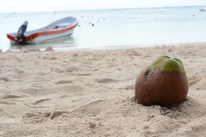 Private Turtles & Cenotes Adventure - Getting from Playa del Carmen to Puerto Aventuras without the headache