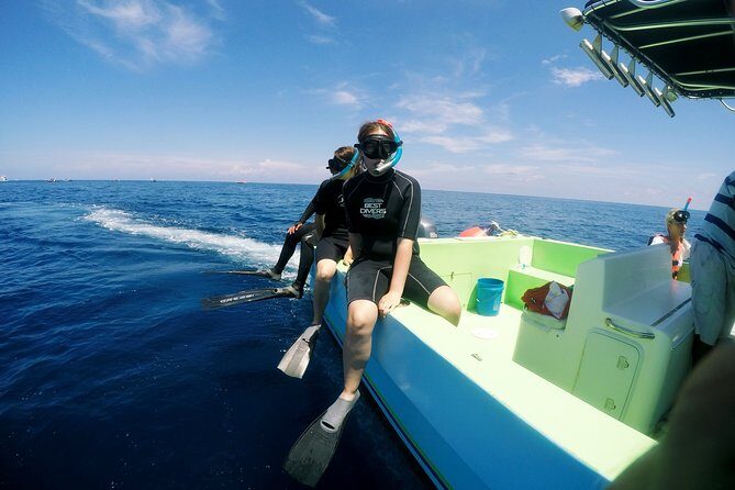 Private Whale Shark All Inclusive Experience - The 6:00 am start: pickup windows and how to handle the morning