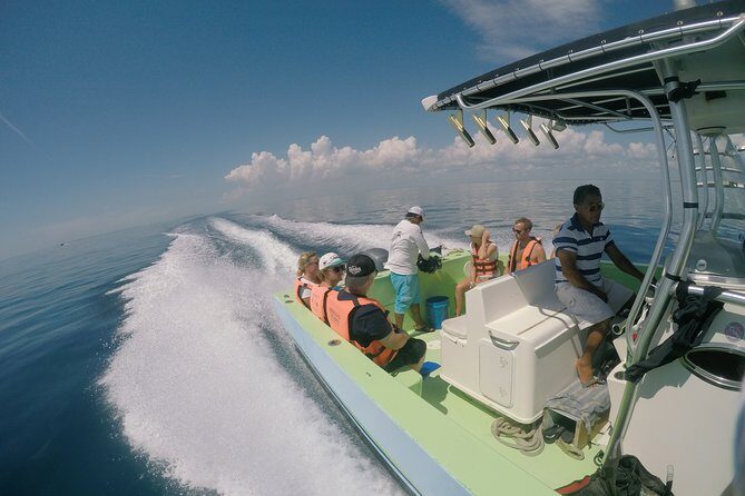 Private Whale Shark All Inclusive Experience - How the whale shark swim works: rules, safety, and what to expect in the water