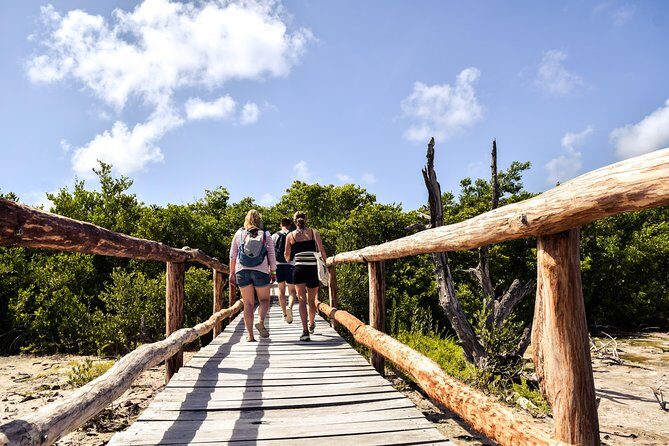 Punta Sur Eco Beach Park Electric Bike Tour in Cozumel - Snorkeling with a guide: gear check and conditions