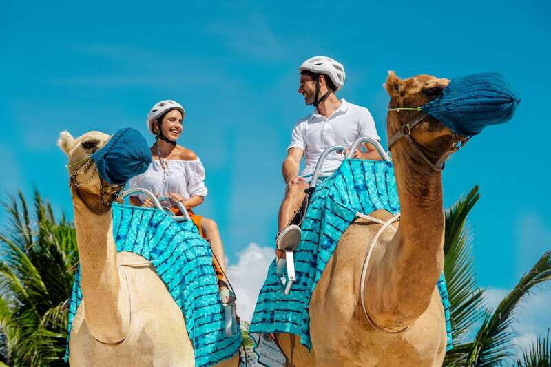 Riviera Maya: Camel Caravan Expedition and Beach Club Access - The Camel Lesson: Your Safety Basics First