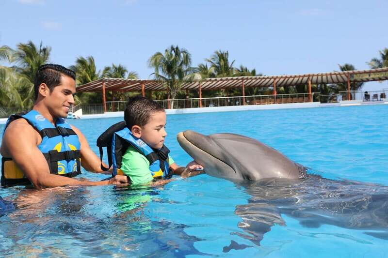 Riviera Maya: Dolphin Encounter with Beach Club Access - Dolphin Discovery Maroma: What the encounter schedule feels like