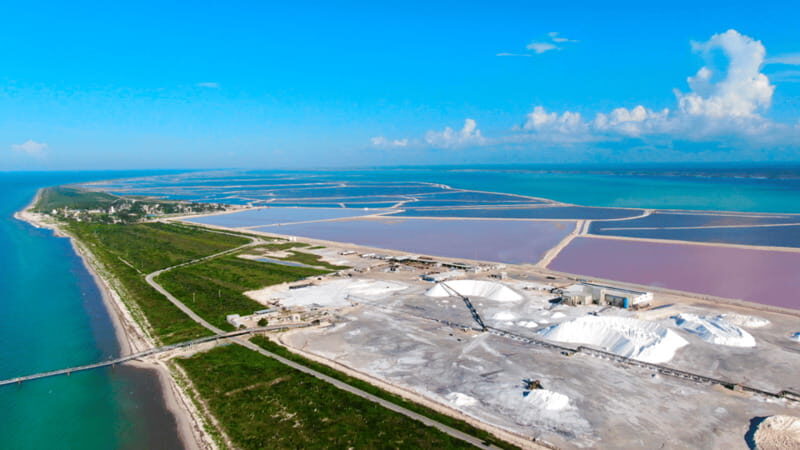 Riviera Maya: Rio Lagartos & Las Coloradas Day Trip w/Lunch - Who this tour suits (and who should skip it)