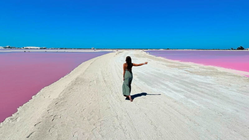 Riviera Maya: Rio Lagartos & Las Coloradas Day Trip w/Lunch - Getting there from Tulum, Playa del Carmen, and Riviera Maya