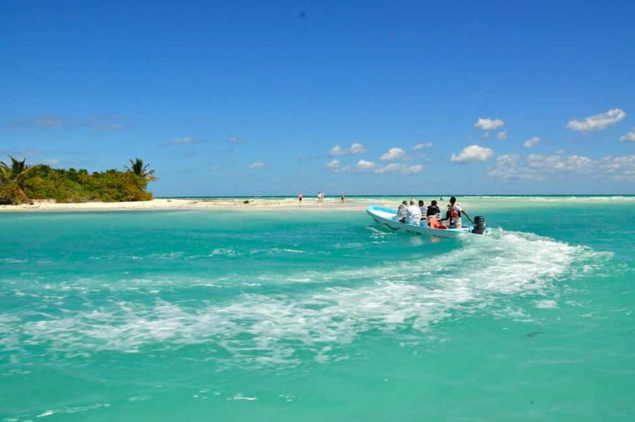 Riviera Maya: Sian Ka'an Reserve Ancient Maya Canals Tour - Laguna de Muyil and the first boat glide: start watching early