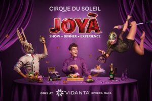 Round-Trip Hotel Pick up + Cirque du Soleil JOYÀ Tickets - Round-Trip Hotel Pickup: Convenience With a Real Caveat