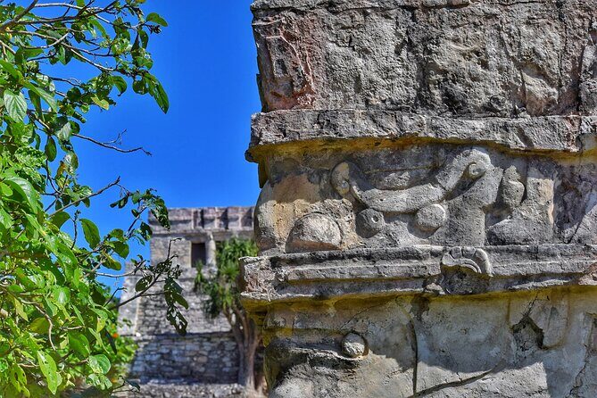 Ruins of Tulum Expres Half Day Private Tour - Comfort on the Road: Snacks, Water, and a Calm Return