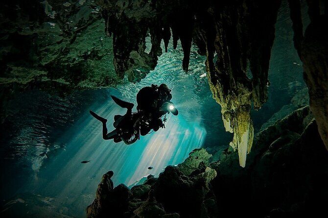 Scuba Diving in Cenote Dos Ojos from Playa del Carmen - The 8:00am pickup in Playa del Carmen: where the day starts right