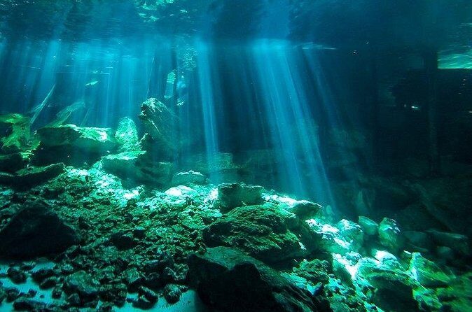 Scuba Diving in Cenote Dos Ojos from Playa del Carmen - Safety briefing before your first underwater time