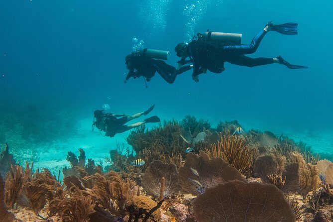 Scuba Diving in Cozumel Island - The Boat Experience: Snacking, Shade, and Two Levels