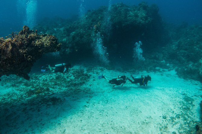 Scuba Diving in Cozumel Island - Small Groups of Four: Why Cozumel Feels Personal Here