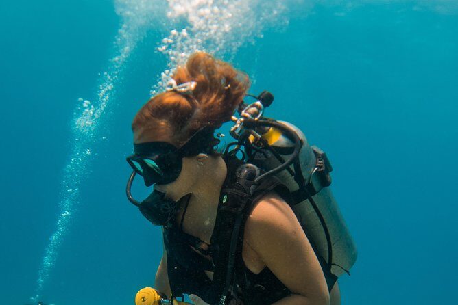Scuba Diving in Cozumel Island - Open-Ended Ferry Ticket: How to Make This More Than a Day Trip