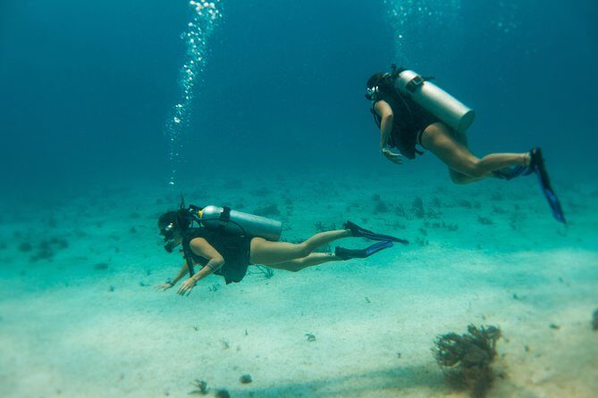Scuba Diving in Cozumel Island - Price Check: Is $220 Good Value Here?
