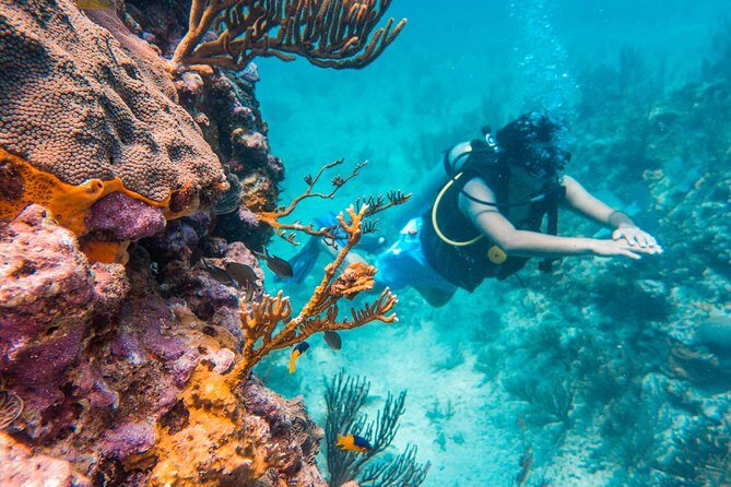 Scuba Diving in Cozumel Island - Meeting at BeDiving Cozumel and Getting Set Up Right