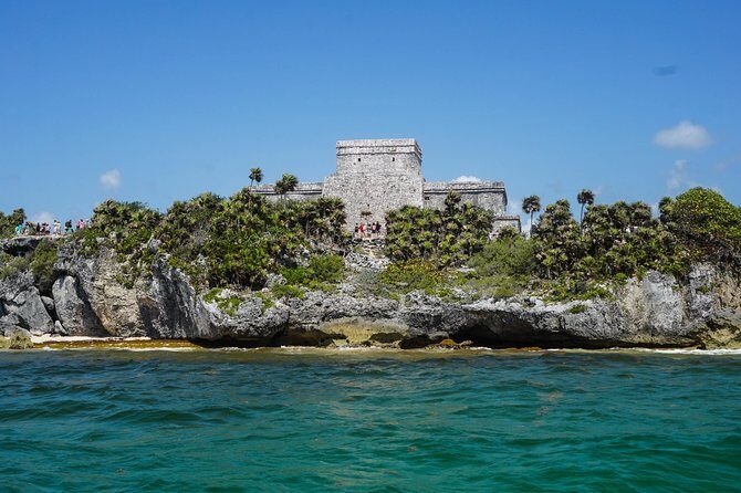 Sea turtle and cenotes half day Snorkeling Tour from Riviera Maya - Price and what you’ll likely pay at checkout