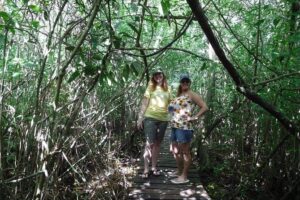 Sian Ka'an Adventure (Private, Full Day) - Price and logistics: you’re paying for a low-hassle full day