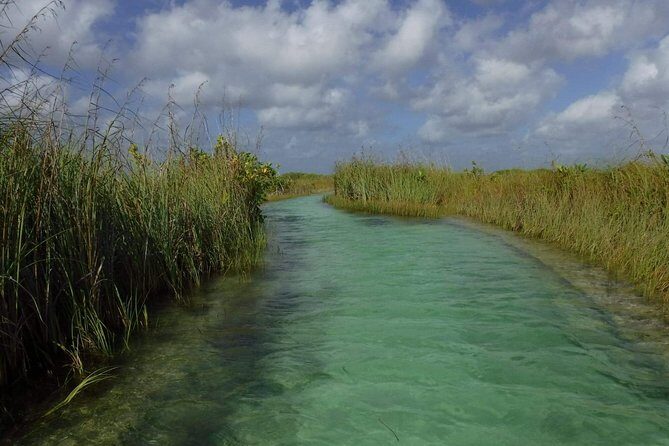 Sian Ka'an Adventure (Private, Full Day) - Private time on the water: mangroves, canals, and wildlife