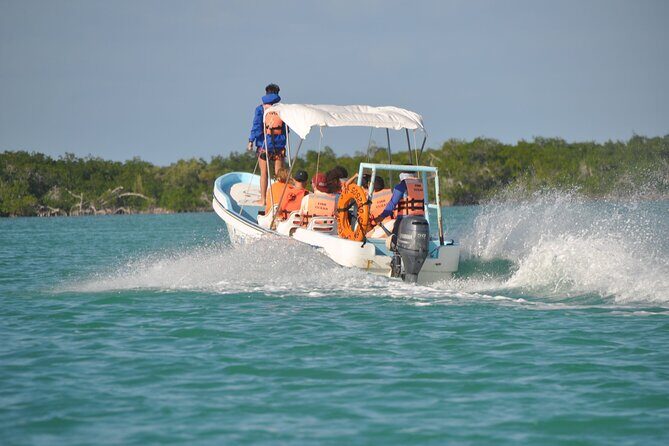 Sian Ka'an Boat Experience from Riviera Maya to Tulum - The boat ride: 40 km to Punta Allen (and what you should watch for)