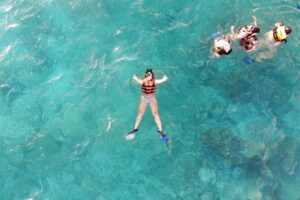 Sian Ka'an Boat Experience from Riviera Maya to Tulum - Sián Ka’an wildlife: how you actually spot animals