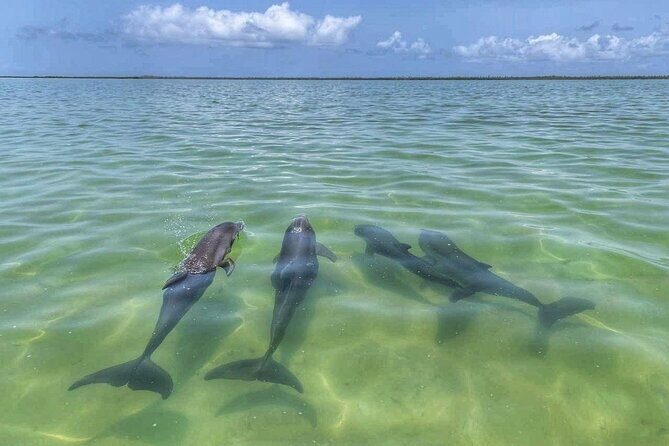 Sian Ka'an Boat Experience from Riviera Maya to Tulum - Stop 1 Sian Ka’an: what you should expect from the reserve side
