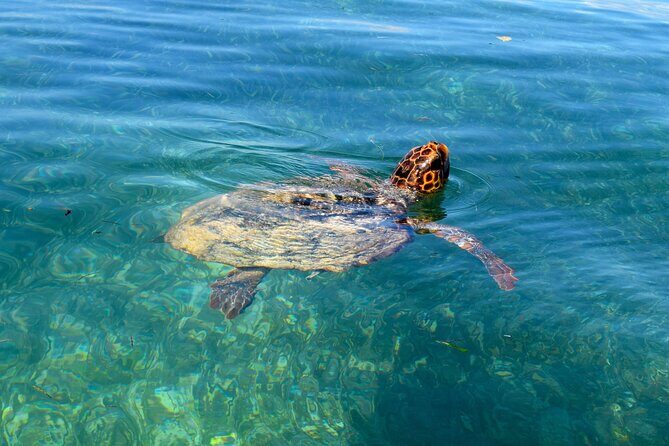 Sian Ka'an Boat Experience from Riviera Maya to Tulum - Guides, group size, and the value of getting it right early