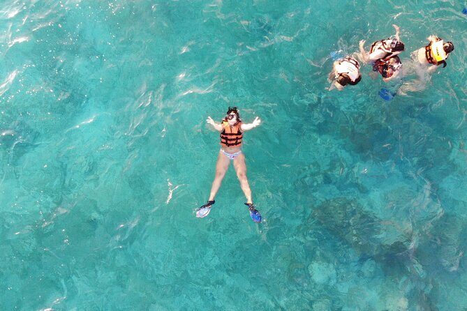 Sian Ka'an Boat Experience from Riviera Maya to Tulum - Sián Ka’an wildlife: how you actually spot animals